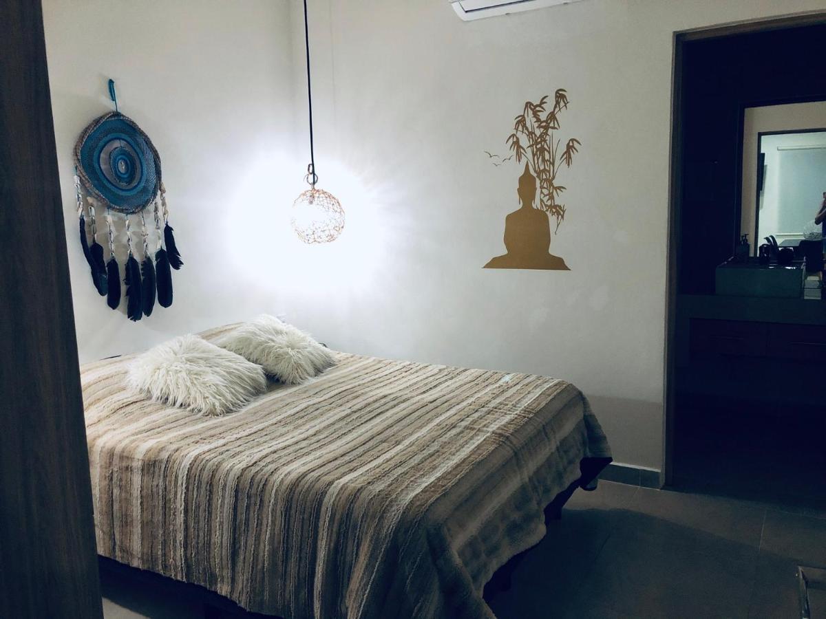 Buda Elementus تولوم المظهر الخارجي الصورة